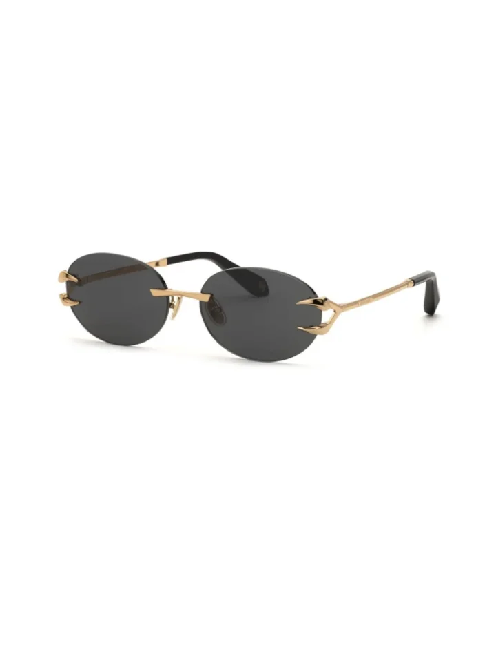 IVSL_ROBERTO_CAVALLI_SRC182_300K_59